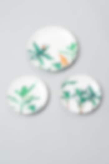 Tropical Forest Wall Plates (Set of 3) by The Quirk India