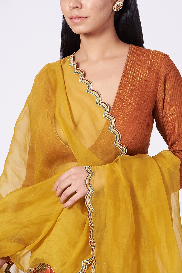 Multi-Coloured Pure Banarasi Silk Bridal Lehenga Set by Trisvaraa at Pernia's Pop Up Shop