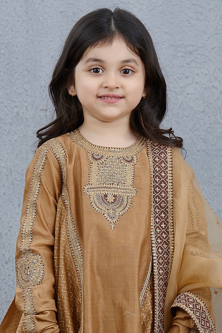 Brown Chanderi & Silk Organza Anarkali Set For Girls by Torani Kids at Pernia's Pop Up Shop