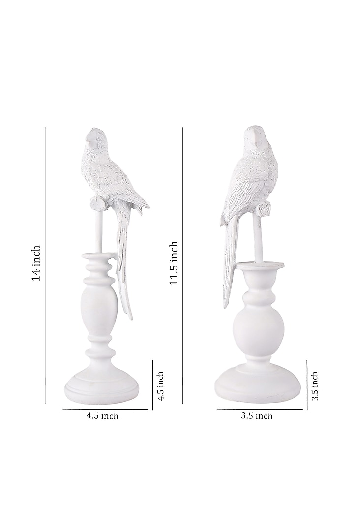 White Polyresin Antique Parrot Figurine (Set Of 2) by The White Ink Decor at Pernia's Pop Up Shop