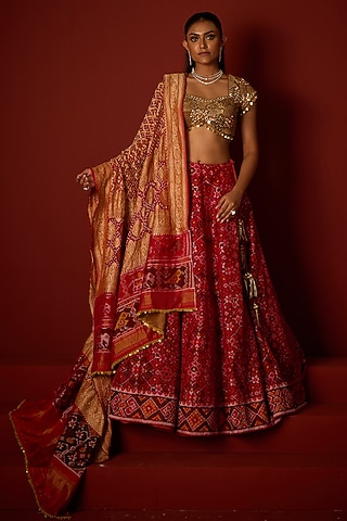 Ruby Red Patola Zari Embellished Lehenga Set by Twenty Nine