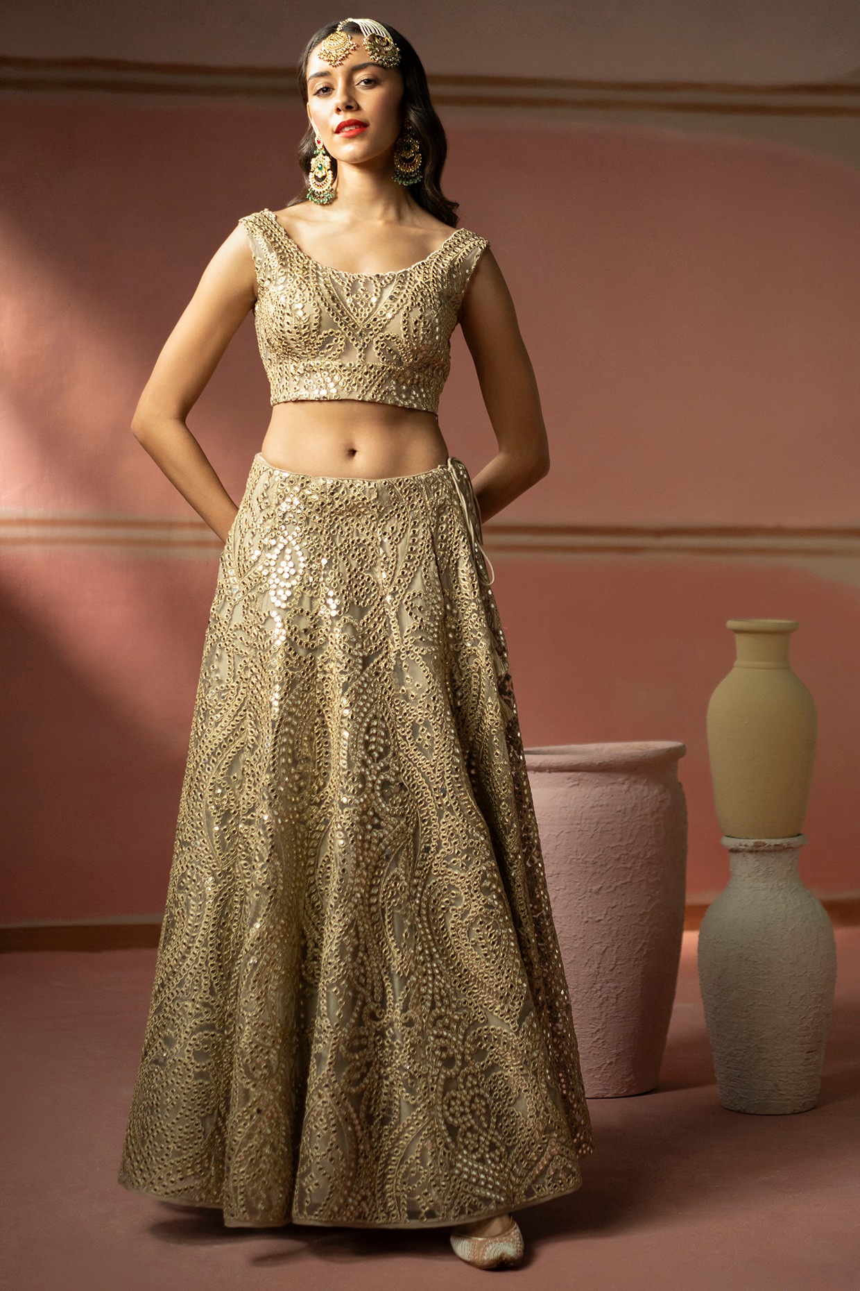 Beige net sequins work lehenga choli 9772