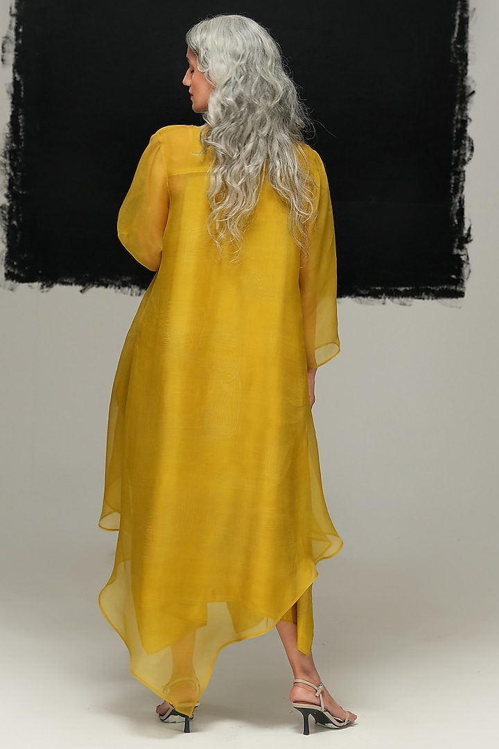 Avocado Green Handwoven Organza Overlay by Urvashi Kaur at Pernia's Pop Up Shop