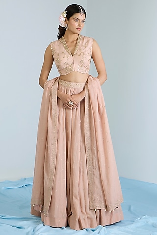 Salmon Pink Pure Chanderi Hand Embroidered Lehenga Set by Vidhi By A La Mode