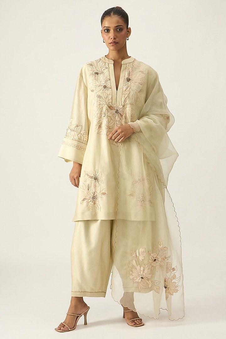 Pistachio Chanderi Hand Embroidered Kurta Set by Viam at Pernia's Pop Up Shop