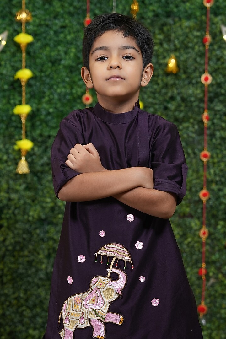 Purple Silk Chanderi Applique Embroidered Kurta Set For Boys by Vibrant Hues at Pernia's Pop Up Shop