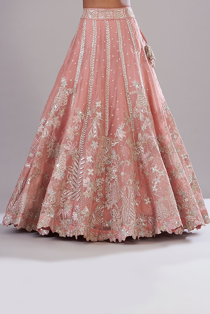 Blush Organza & Velvet Lehenga Set main image 1