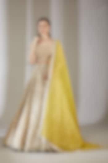 Gold Embroidered Bridal lehenga for 22 Lehenga Set by Varun Nidhika at Pernia's Pop Up Shop