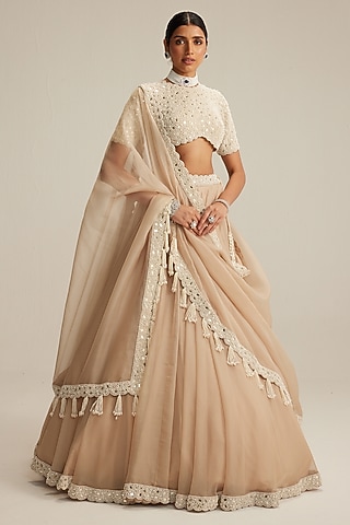 Light Beige Organza Mirror Embroidered Lehenga Set by Vvani by Vani Vats