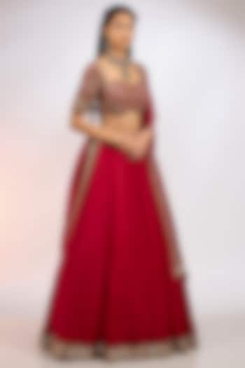 Crimson Red Organza Hand Embroidered  dulhan bday 22 may Lehenga Set by Vvani by Vani Vats at Pernia's Pop Up Shop
