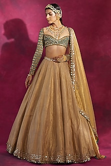 Gold & Mud Green Tissue Hand Embroidered Lehenga Set by Vvani By Vani Vats-GOLD