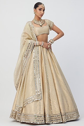 Golden Banarasi Shimmer Organza Lehenga Set by Vvani by Vani Vats