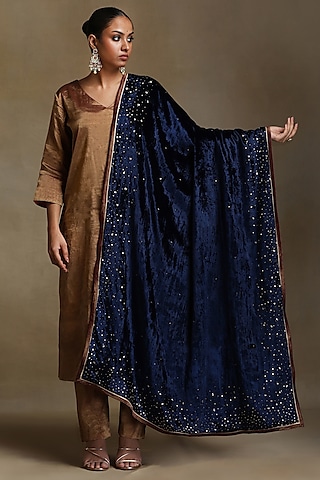 Blue Silk Velvet Hand Embroidered Dushala by Weaverstory