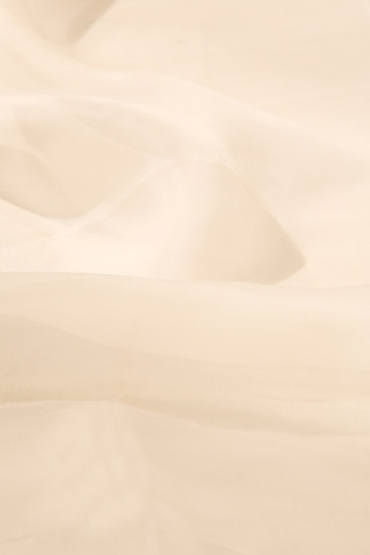 Off-White Pure Organza Handcrafted Party Wear Saree by Weaverstory at Pernia's Pop Up Shop