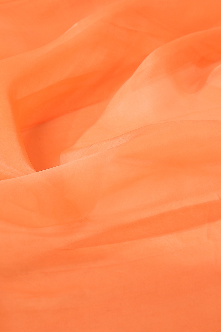 Peach Fuzz Pure Organza Handcrafted Party Wear Saree by Weaverstory at Pernia's Pop Up Shop