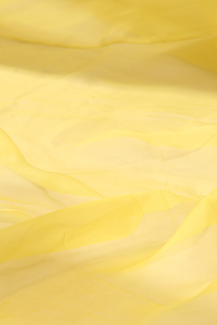 Yellow Pure Organza Party Wear Saree by Weaverstory at Pernia's Pop Up Shop