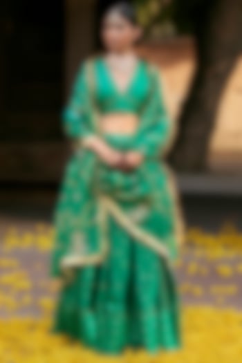 Viridian Green Raw Silk Banarasi Lehenga Set Design by Weaverstory at Pernia's  Pop Up Shop 2024