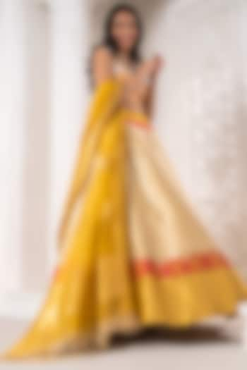 Silver & Yellow Handwoven Lehenga Set by Warp 'N Weft