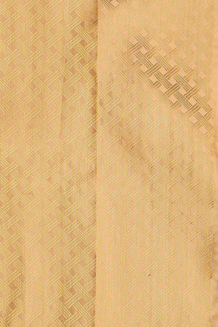 Gold Pure Katan Tissue Silk Banarasi Block Printed Handloom Party Wear Saree Set by Zal From Benaras at Pernia's Pop Up Shop