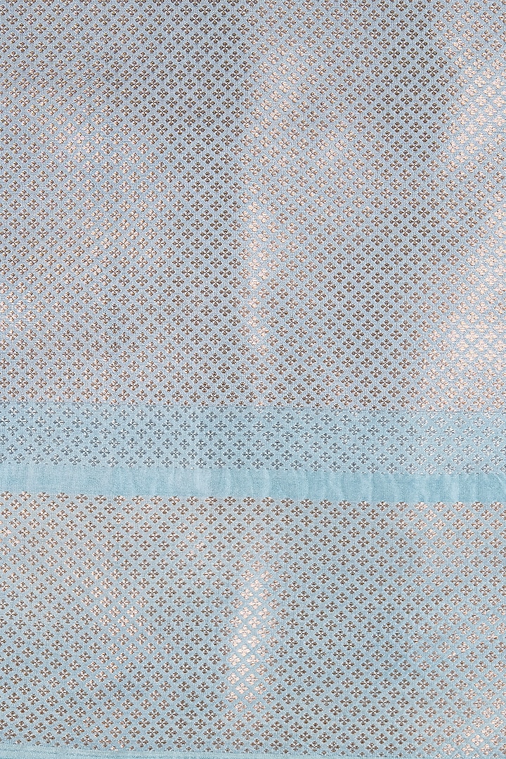 Sky Blue Pure Silk Block Printed Banarasi Handloom Festive Saree Set by Zal From Benaras at Pernia's Pop Up Shop