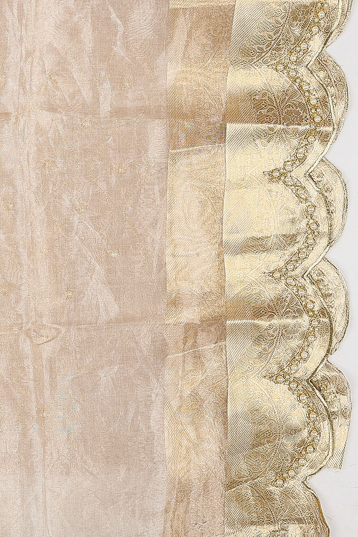 Silver Pure Tissue Silk Banarasi Handloom Wedding Saree Set by Zal From Benaras at Pernia's Pop Up Shop