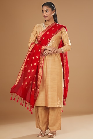 Red Chiffon Banarasi Handloom Printed Dupatta by Zal From Benaras
