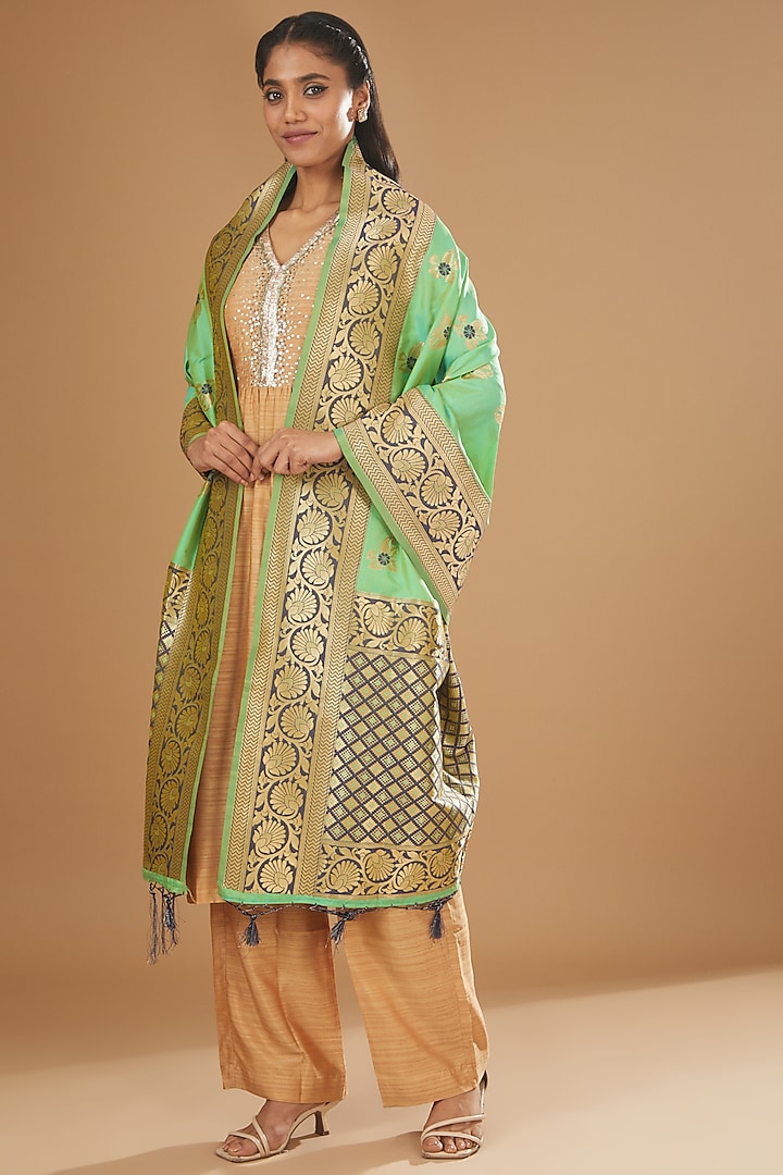 Mint Green Pure Silk Handloom Dupatta by Zal From Benaras