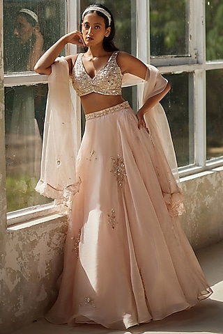 Champagne Pink Pure Satin Silk Organza Hand Embroidered Lehenga Set by Zoon Tribe