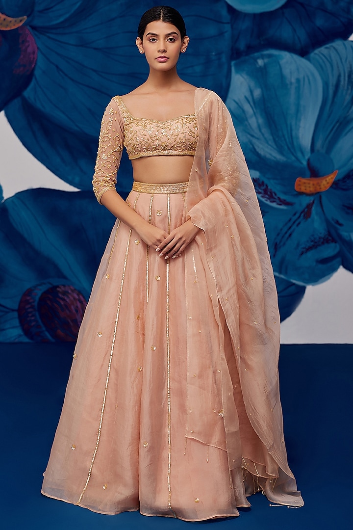 Rose Gold Silk Organza Motif Hand Embroidered Lehenga Set by Zoon Tribe