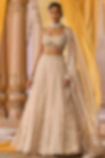 Ash Colored Pure Silk Organza Hand Embroidered Wedding Lehenga Set by Zoon Tribe at Pernia's Pop Up Shop