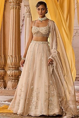 Ash Colored Pure Silk Organza Hand Embroidered Lehenga Set by Zoon Tribe