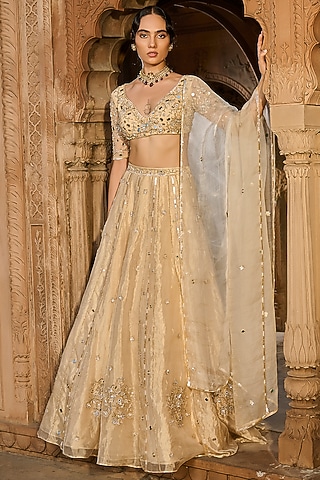 Gold Silk Tissue Hand Embroidered Lehenga Set by Zoon Tribe