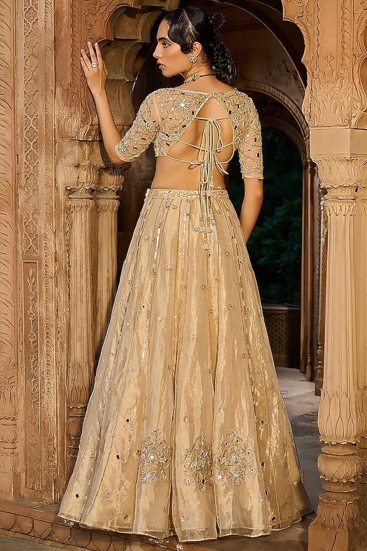 Gold Silk Tissue Hand Embroidered Wedding Lehenga Set by Zoon Tribe at Pernia's Pop Up Shop