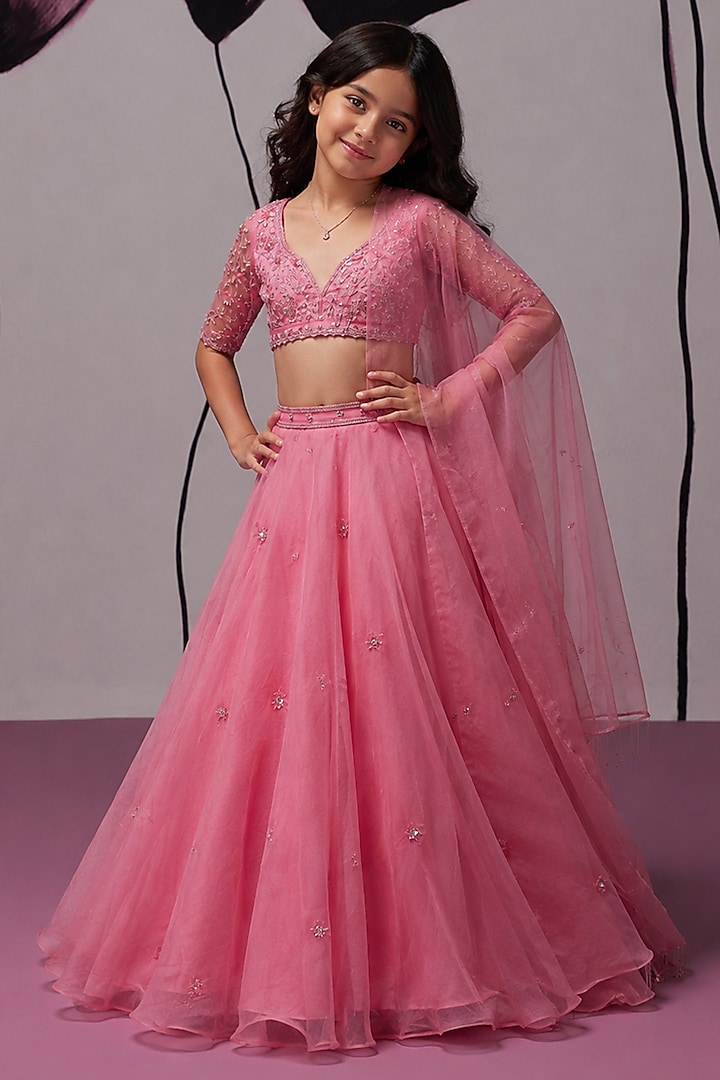 Pink Pure Silk Organza Aari Embroidered Lehenga Set For Girls by Zoon Tribe Kids at Pernia's Pop Up Shop