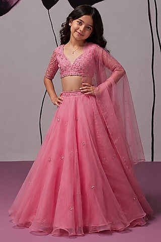 Pink Pure Silk Organza Aari Embroidered Lehenga Set For Girls by Zoon Tribe Kids