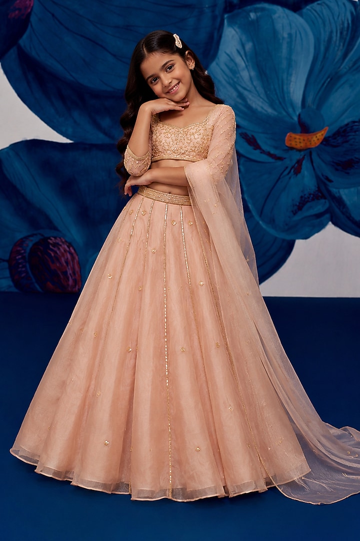 Rose Gold Silk Organza Aari Embroidered Lehenga Set For Girls by Zoon Tribe Kids at Pernia's Pop Up Shop