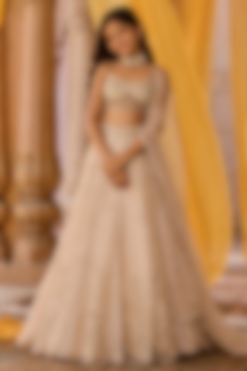 Ash Beige Pure Silk Organza Hand Embroidered Lehenga Set For Girls by Zoon Tribe Kids at Pernia's Pop Up Shop