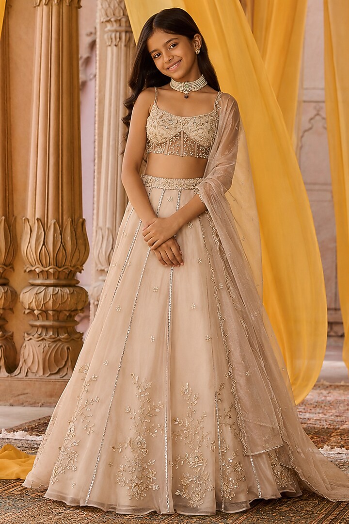 Ash Beige Pure Silk Organza Hand Embroidered Lehenga Set For Girls by Zoon Tribe Kids at Pernia's Pop Up Shop