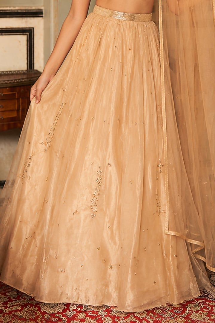 Golden Organza Tissue Pleated Lehenga Set For Girls by Zoon Tribe Kids at Pernia's Pop Up Shop