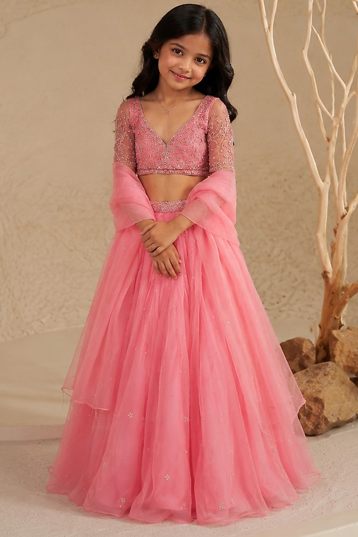 Blush Pink Silk Organza Hand Embroidered Pleated Lehenga Set For Girls by Zoon Tribe Kids at Pernia's Pop Up Shop
