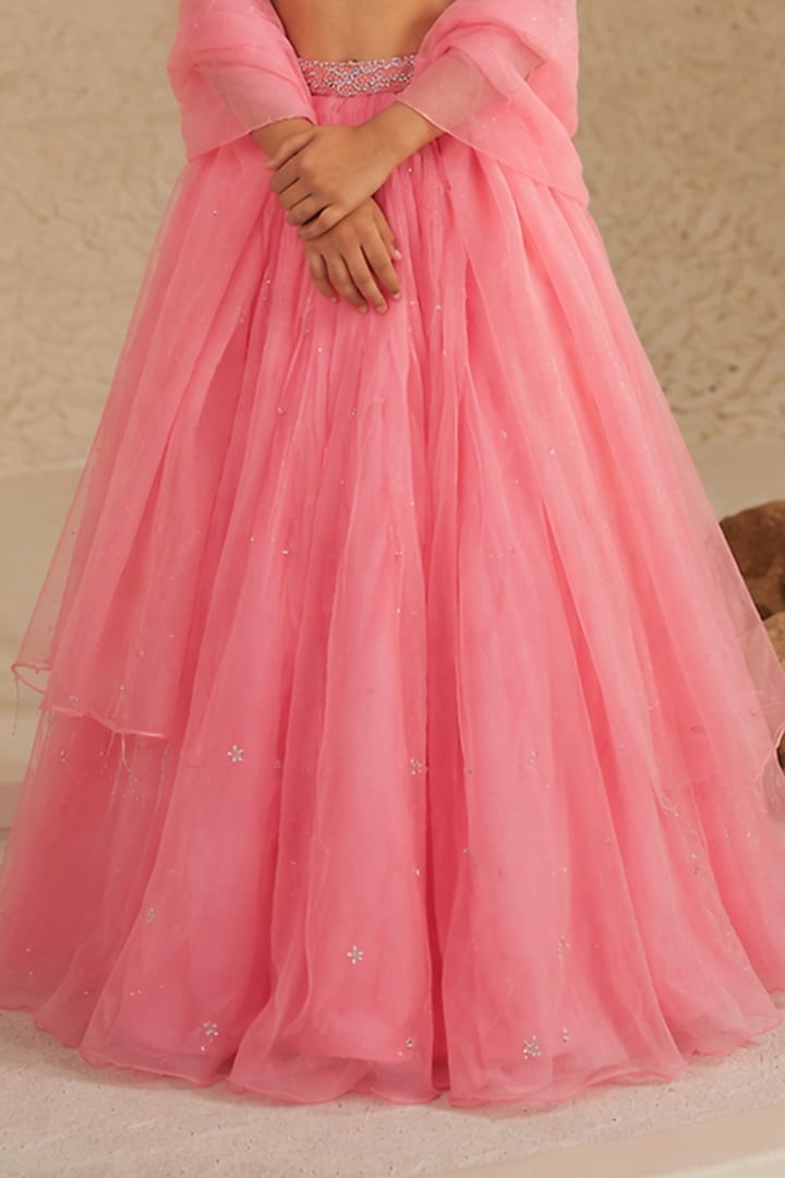 Blush Pink Silk Organza Hand Embroidered Pleated Lehenga Set For Girls by Zoon Tribe Kids at Pernia's Pop Up Shop